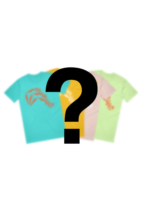DIVER TEE MYSTERY COLOR product by Ra Ra Riot